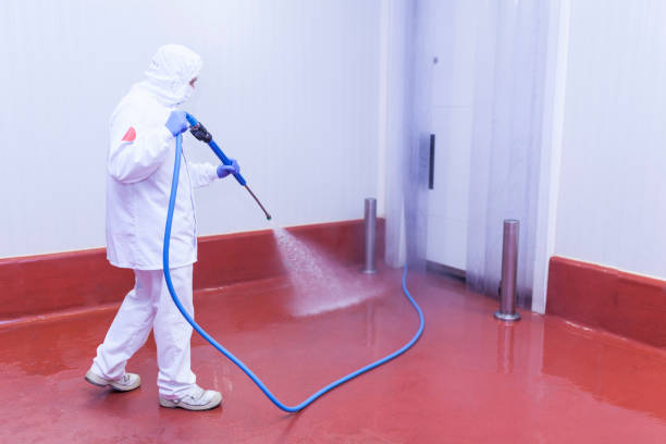 Best Post-Construction Pressure Washing  in Edgemere, MD