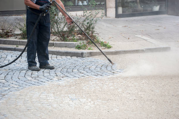 Best Gutter Cleaning  in Edgemere, MD